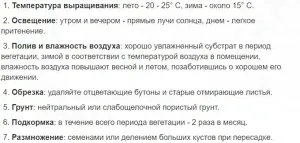 Антуриум ваниль-3